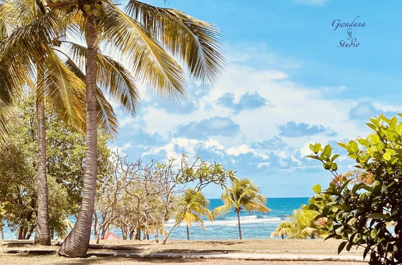 Accès Direct Plage, Magnifique Vue Mer, Gwanada Studio à Pierre et Vacances Sainte-Anne  Esterno foto