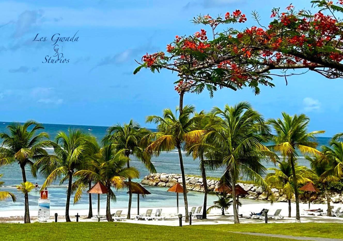 Accès Direct Plage, Magnifique Vue Mer, Gwanada Studio à Pierre et Vacances Sainte-Anne  Esterno foto